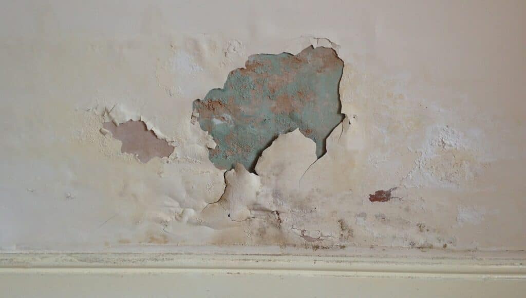 property agent working in Islamabad