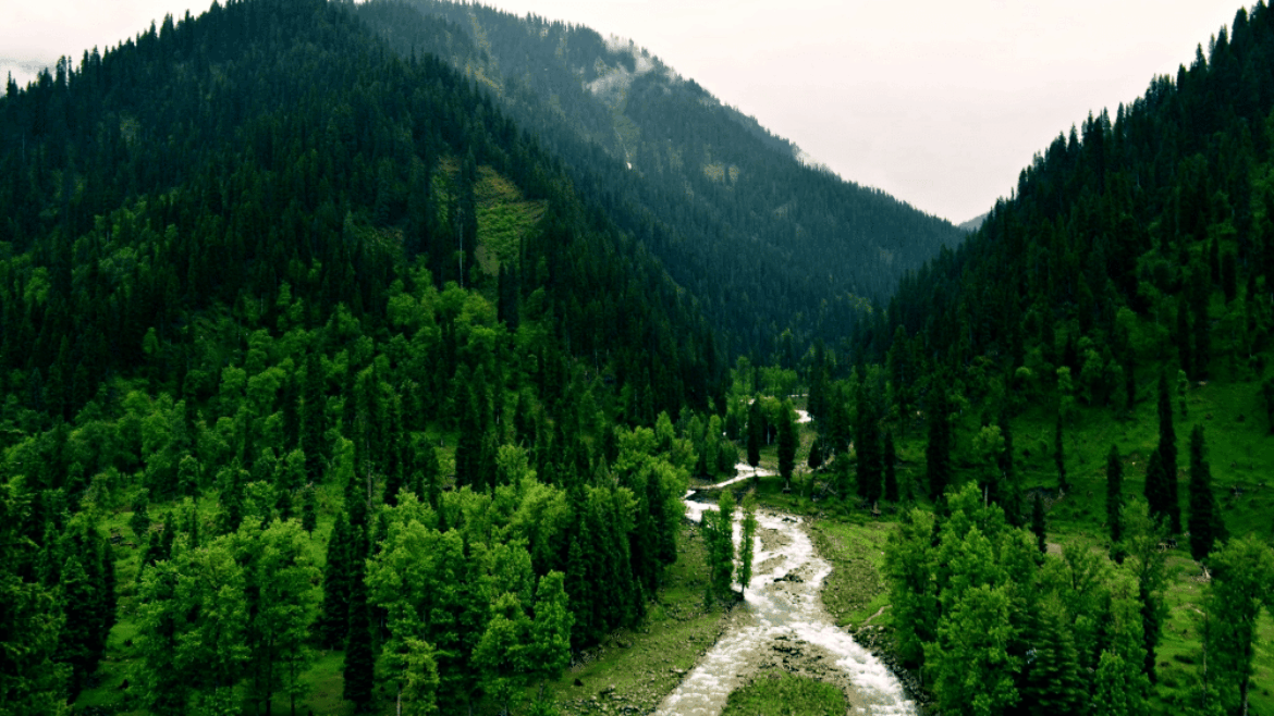 best investments possible in Islamabad